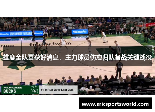 雄鹿全队喜获好消息，主力球员伤愈归队备战关键战役